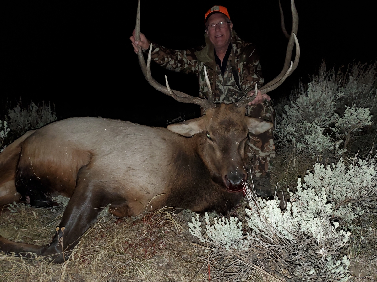 Colorado Elk Hunting Outfitters Private Ranch Colorado Elk Hunts